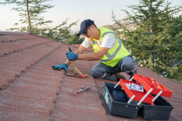 Best Roof Waterproofing Services  in Hutchinson, MN